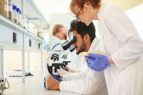 Nurse researchers looking through a microscope