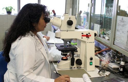 A nurse researcher uses laboratory equipment.