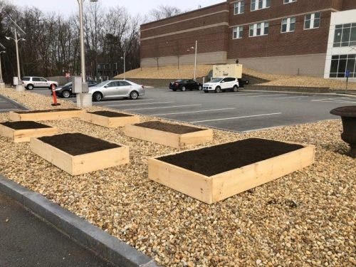 Garden boxes for community garden sit beside parking lot