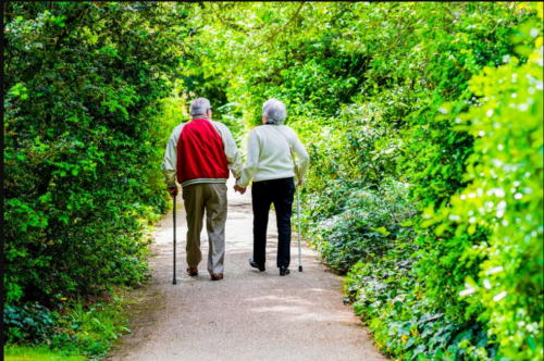 An elderly couple walk through a park.